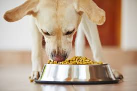 do-not-feed-your-pet- processed-foods