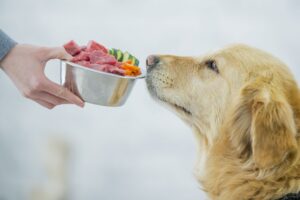 tooth-friendly-diets-pet