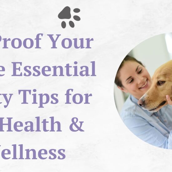 pet-proof-your-home-essential-safety-tips-for-pet Health & Wellness