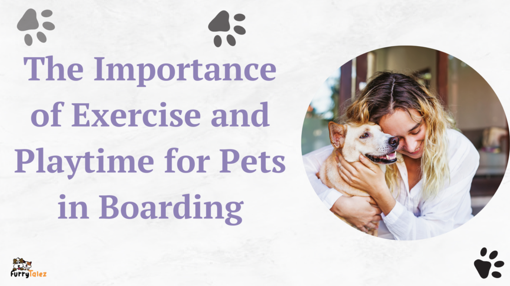 the-importance-of-exercise-and-playtime-for-pets-in-boarding