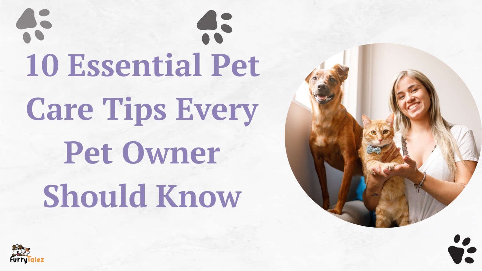 essential-pet-care-tips-every-pet-owner-should-know