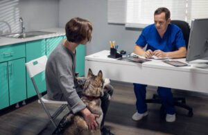appointments-with-the-vet-for-pet