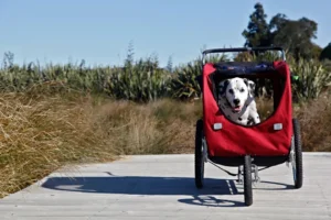 versatile-pet-strollers