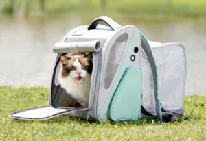 portable-pet-carriers-for-travel