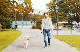 walking-with-dog