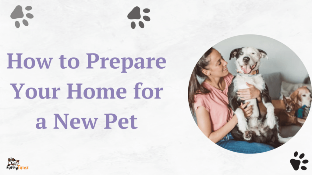 how-to-prepare-your-home-for-a-new-pet