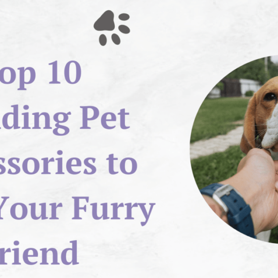 top-10-trending-pet- accessories-to-spoil- your-furry-friend