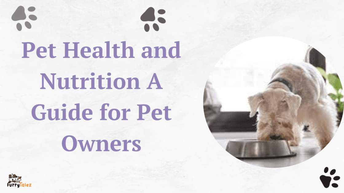 pet-health-and- nutrition-a-guide-for- pet-owners
