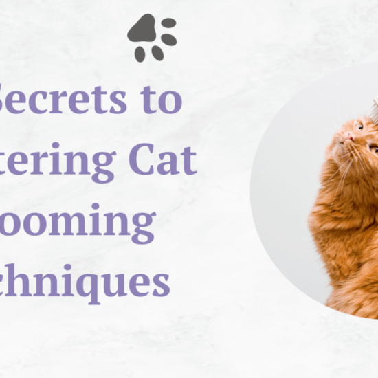 10-secrets-to mastering-cat grooming-techniques