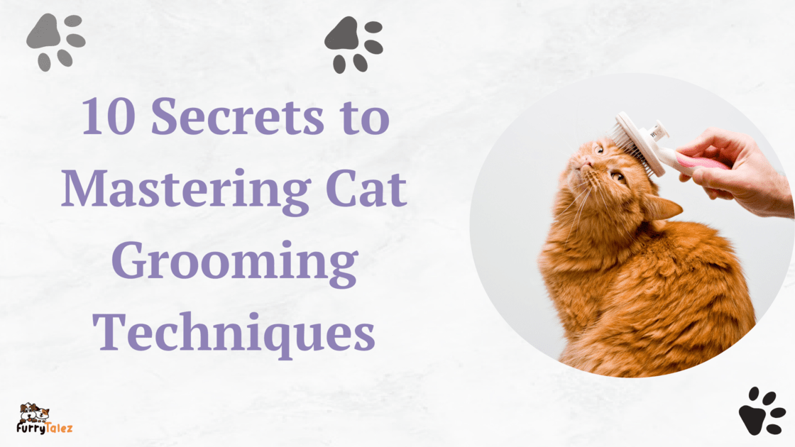 10-secrets-to mastering-cat grooming-techniques