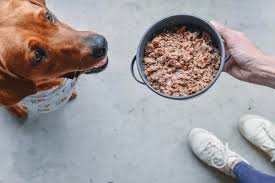 switching-your-pet-to- natural-food