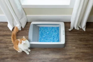 self-cleaning-litter-boxes-for-pets