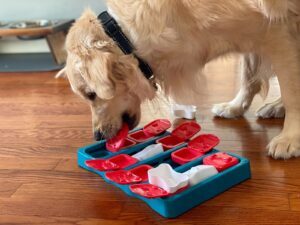 interactive-puzzle-toys-for-pets