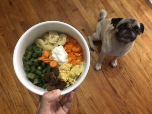 homemade-organic- dog-food