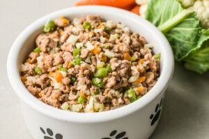 protein-packed- meals-to-vegetable-based-stews-for-dog