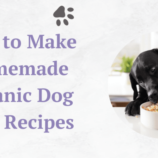 how-to-make-homemade-organic- dog-food-recipes