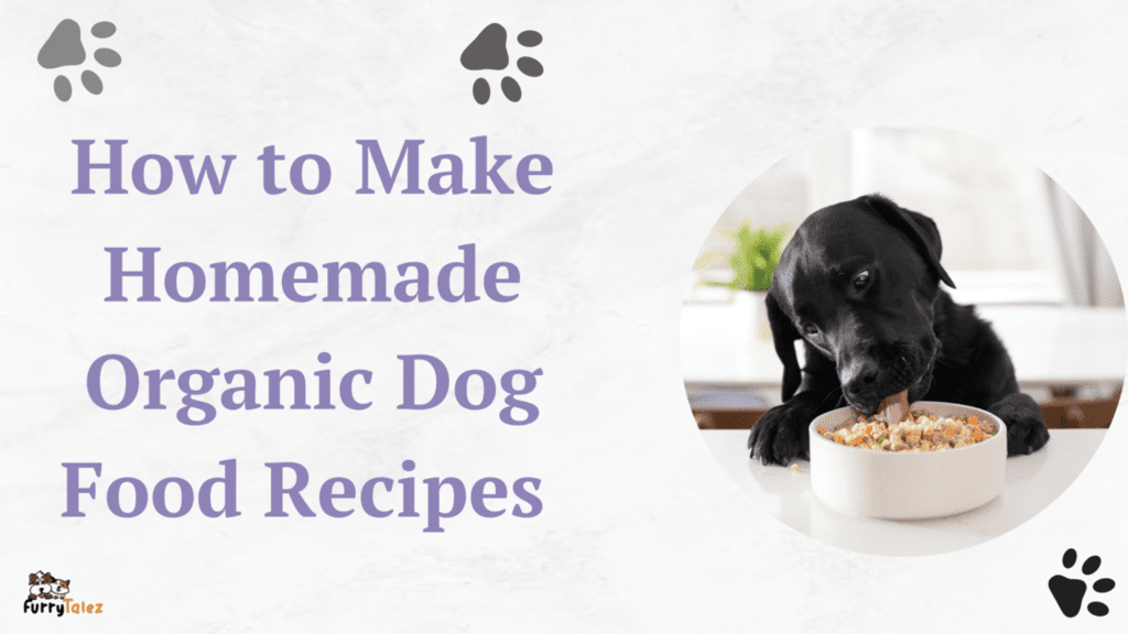 how-to-make-homemade-organic- dog-food-recipes