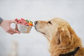 organic-dog-food