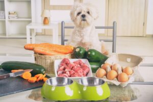 homemade-organic-dog -food-recipes