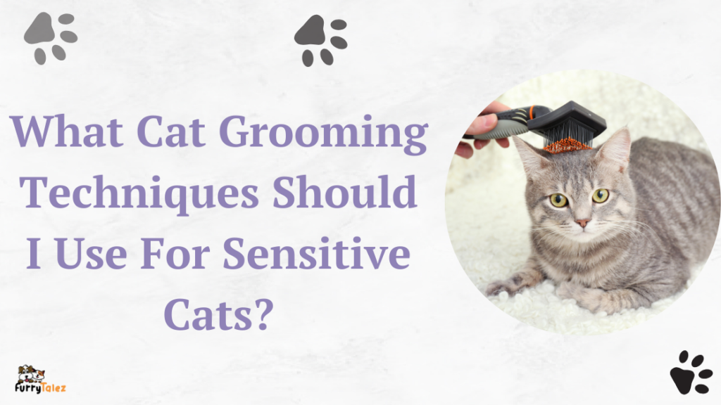 what-cat-grooming-techniques-should-I-se-for-sensitive-cats?