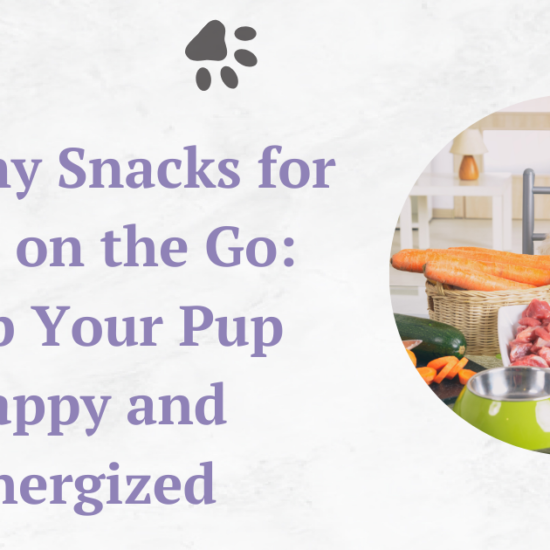 Healthy Snacks for Dogs on the Go Keep Your Pup Happy and Energized