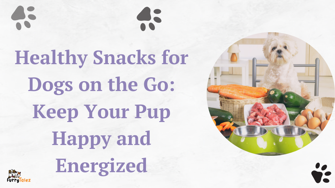 Healthy Snacks for Dogs on the Go Keep Your Pup Happy and Energized