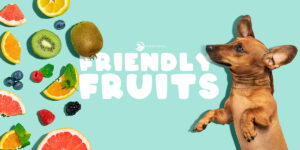 canine-friendly-fruits