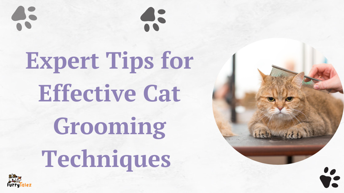expert-tips-for-effective-cat-grooming-techniques