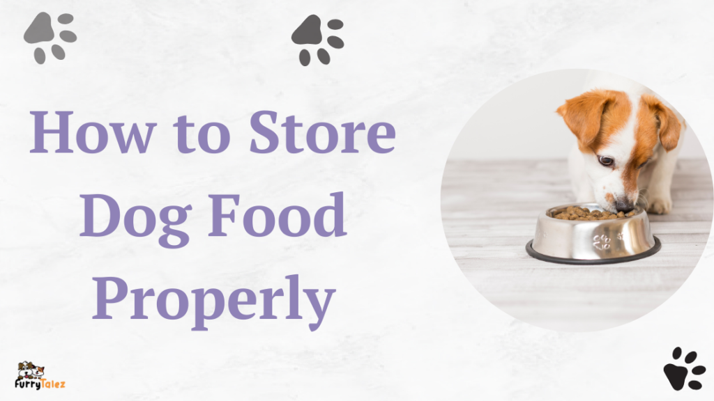 how-to-store-dog-food-properly