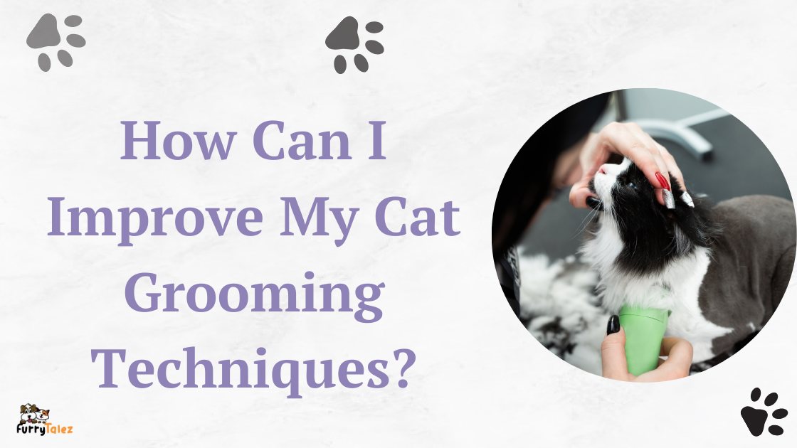 how-can-improve- my-cat-grooming- techniques?
