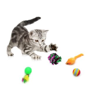 Cat-Toys-for-Play