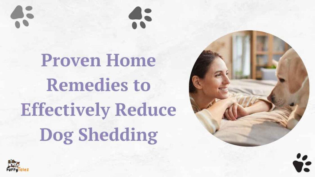 Proven Home Remedies to Effectively Reduce Dog Shedding