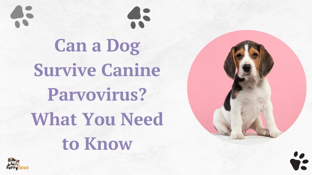 Can a Dog Survive Canine Parvovirus? What You Need to Know