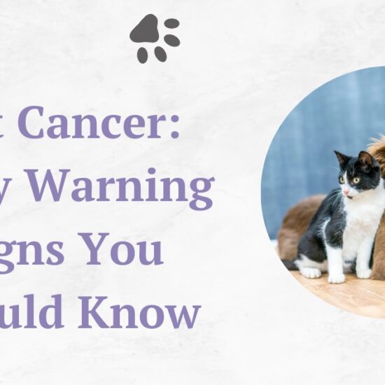 Pet Cancer: Early Warning Signs You Should Know