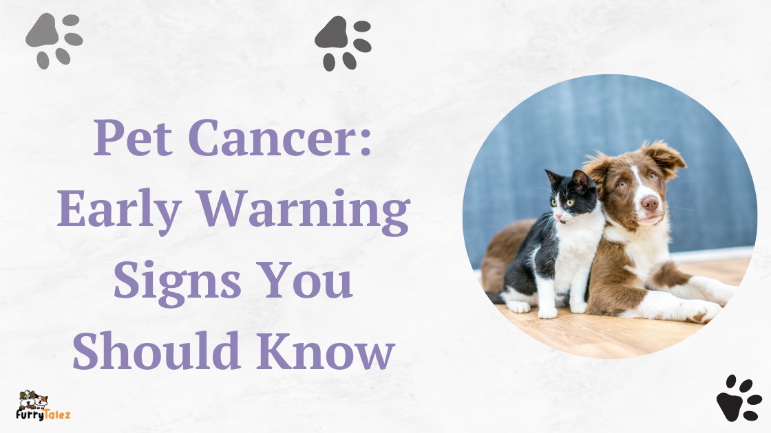 Pet Cancer: Early Warning Signs You Should Know