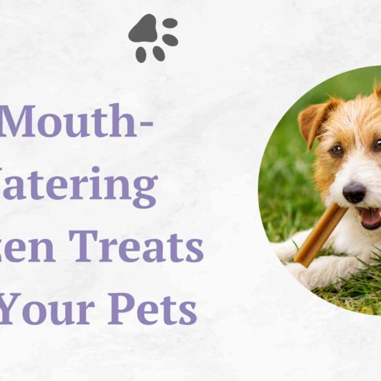 5 Mouth-Watering Frozen Treats for Your Pets