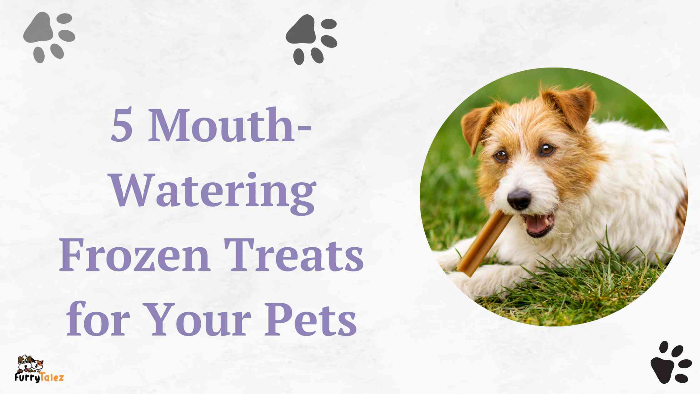 5 Mouth-Watering Frozen Treats for Your Pets