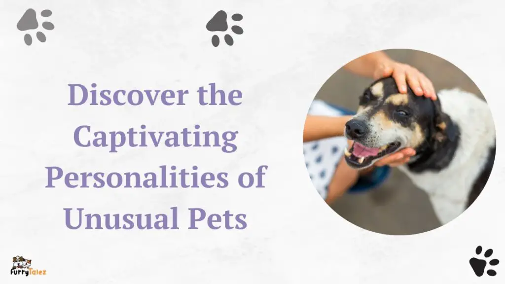 Discover the Captivating Personalities of Unusual Pets