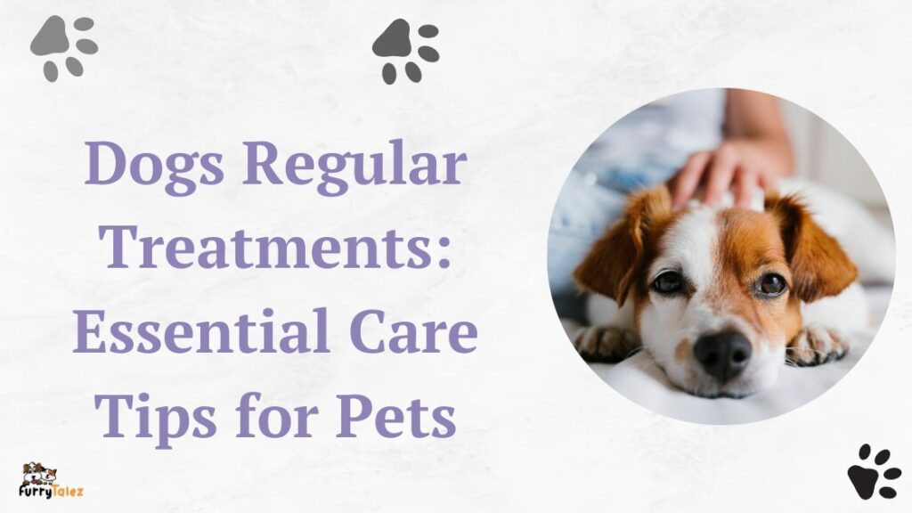 Dogs Regular Treatments: Essential Care Tips for Pets