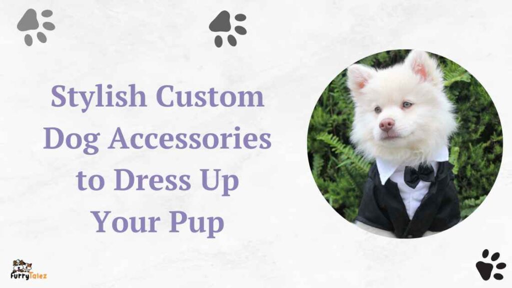 Stylish Custom Dog Accessories to Dress Up Your Pup