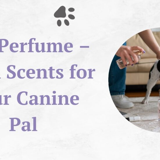 Dog perfume