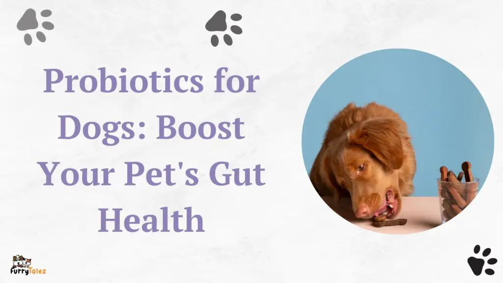 Probiotics for Dogs Boost Your Pet's Gut Health