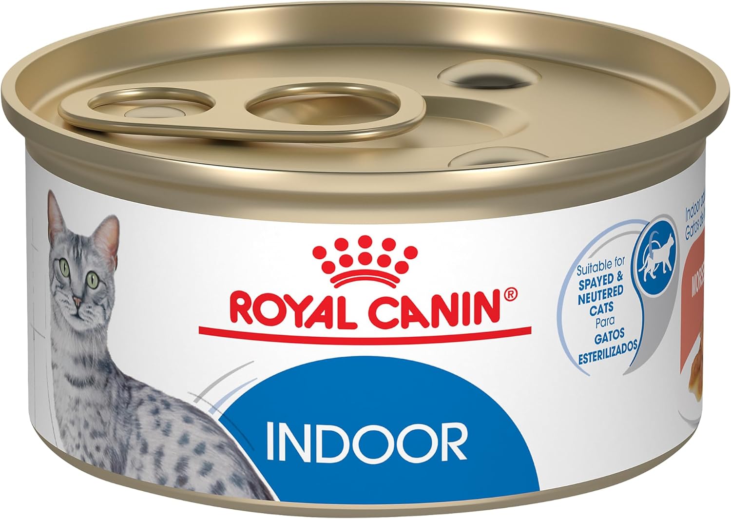 Royal Canin Canned Cat Food