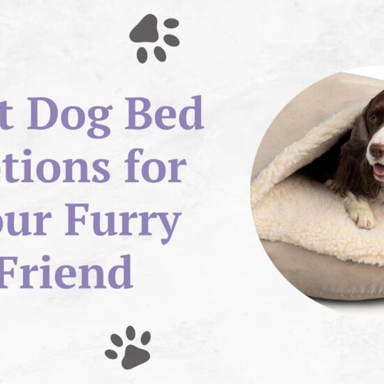 Best Dog Bed Options for Your Furry Friend