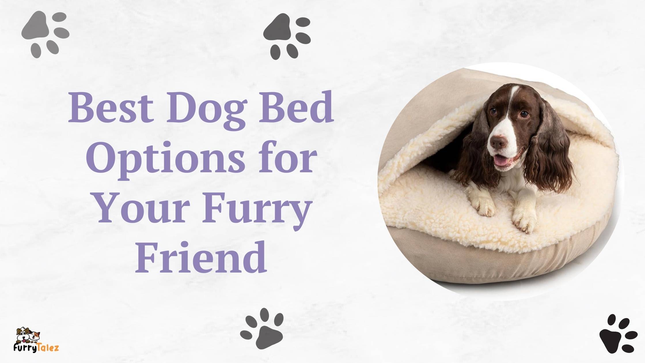 Best Dog Bed Options for Your Furry Friend