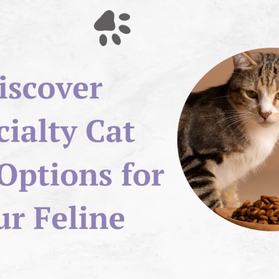 High-Quality Cat Foods