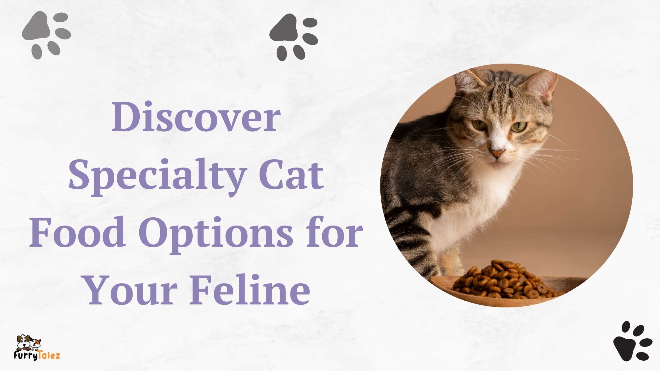 High-Quality Cat Foods