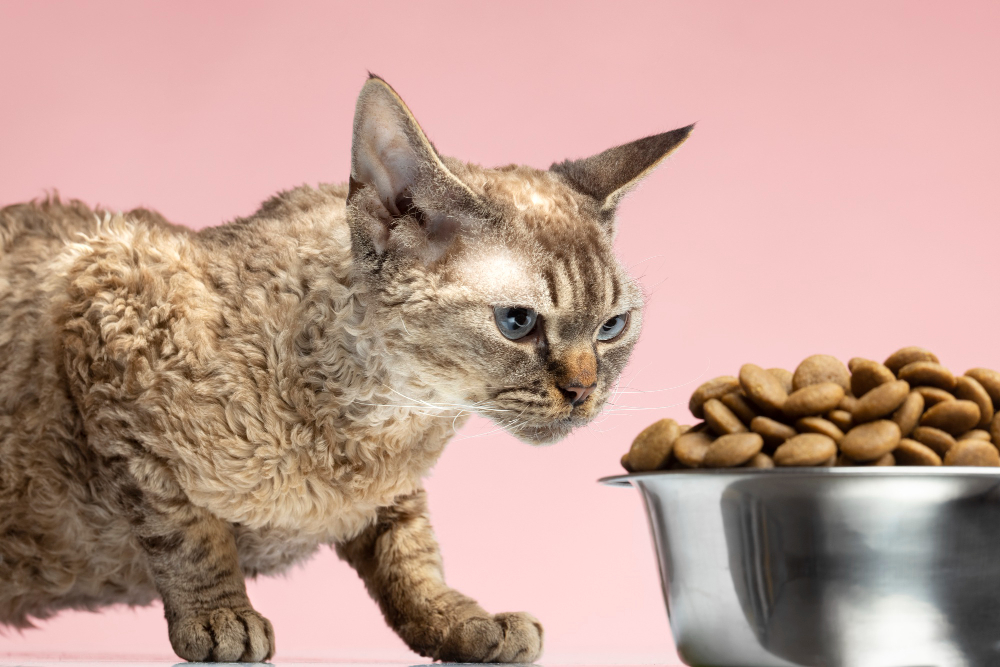 High-Quality Cat Foods