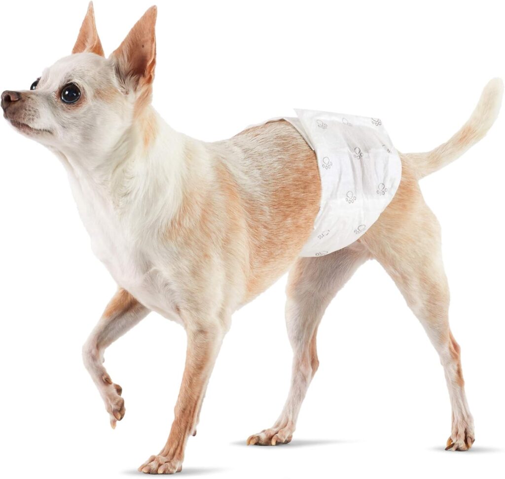 dog diapers