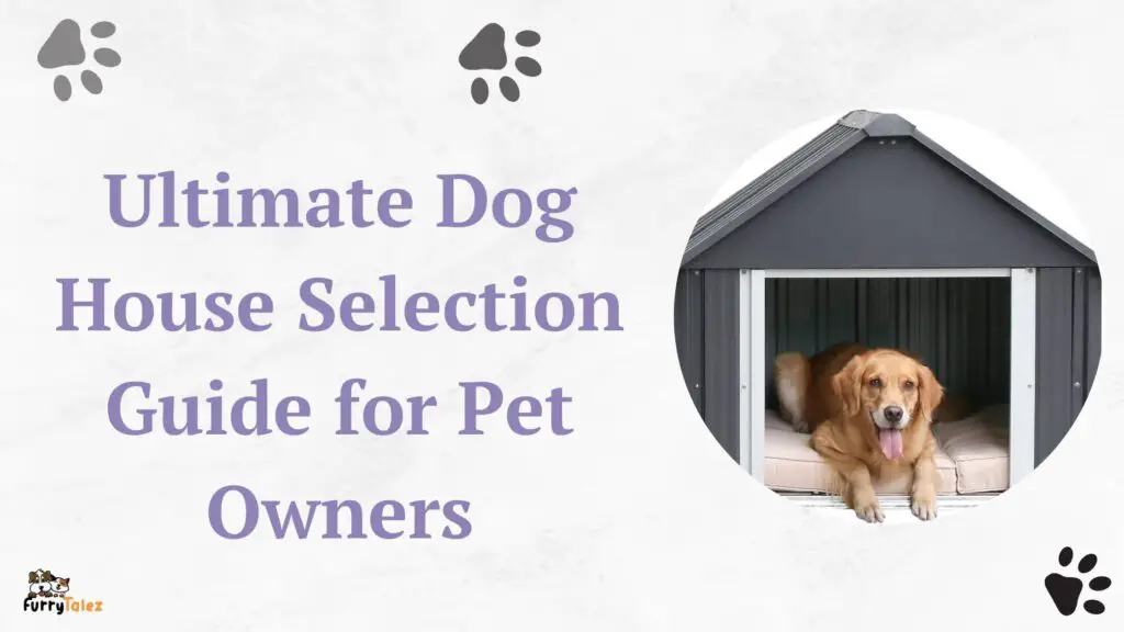 Ultimate Dog House Selection Guide for Pet Owners